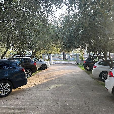 Apartment Dario Zadar Zewnętrze zdjęcie