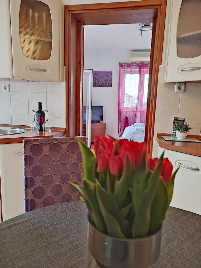 Apartment Dario Zadar Zewnętrze zdjęcie