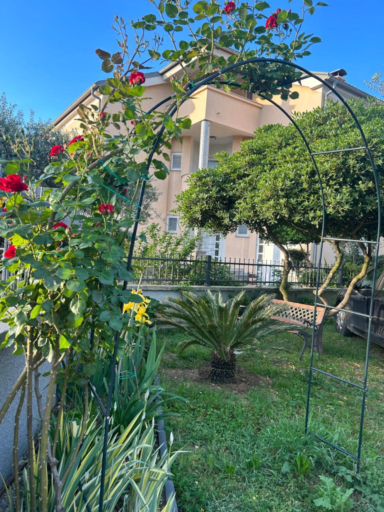 Apartment Dario Zadar Zewnętrze zdjęcie