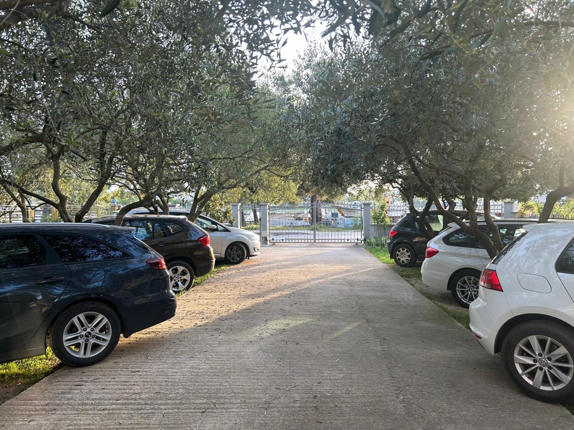 Apartment Dario Zadar Zewnętrze zdjęcie